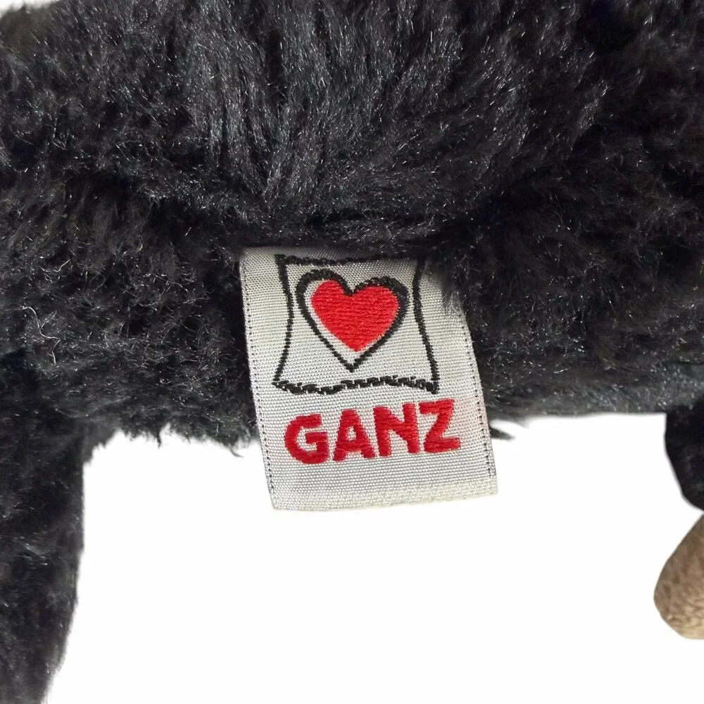 GANZ does not